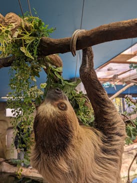 那須どうぶつ王国に投稿された画像（2024/3/9）