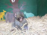 しろとり動物園に投稿された画像（2024/3/9）