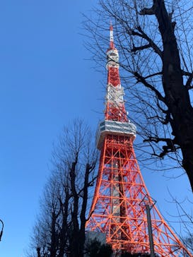 東京タワーに投稿された画像（2024/3/9）