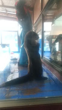 ゼロ距離水族館 伊勢シーパラダイスに投稿された画像（2024/3/9）