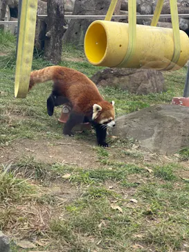天王寺動物園に投稿された画像（2024/3/9）