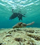 オースリーシュノーケル宮古島に投稿された画像（2024/3/9）