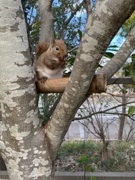 神戸どうぶつ王国に投稿された画像（2024/3/9）