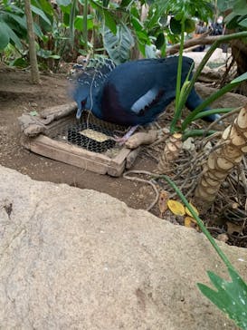 神戸どうぶつ王国に投稿された画像（2024/3/9）