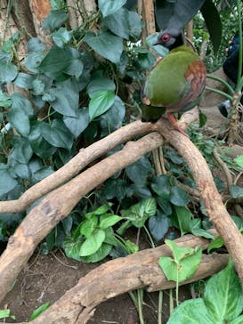 神戸どうぶつ王国に投稿された画像（2024/3/9）