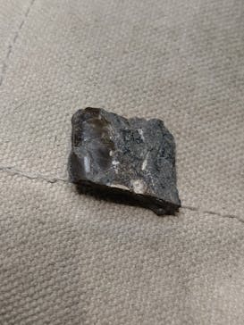 福井県立恐竜博物館に投稿された画像（2024/3/9）