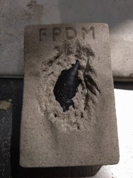 福井県立恐竜博物館に投稿された画像（2024/3/9）