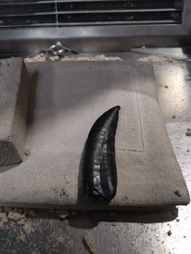 福井県立恐竜博物館に投稿された画像（2024/3/9）