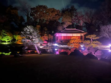 NAKED meets 二条城 2025 観月に投稿された画像（2024/3/9）