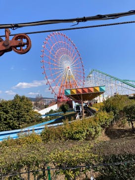 グリーンランドに投稿された画像（2024/3/9）