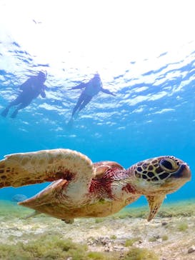 宮古島マリン GB QUESTに投稿された画像（2024/3/9）