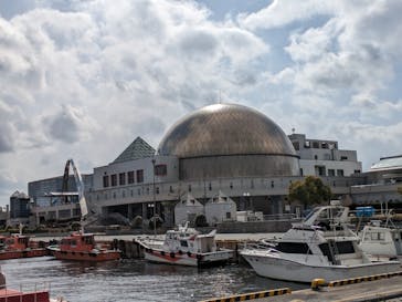 名古屋港水族館に投稿された画像（2024/3/9）