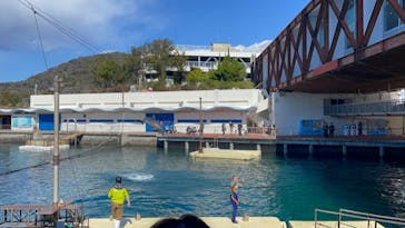 伊豆・三津シーパラダイスに投稿された画像（2024/3/9）