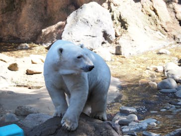 よこはま動物園ズーラシアに投稿された画像（2024/3/9）