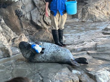 しながわ水族館に投稿された画像（2024/3/9）