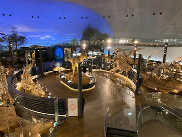 福井県立恐竜博物館に投稿された画像（2024/3/9）