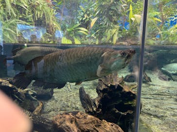 名古屋港水族館に投稿された画像（2024/3/9）