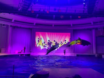 アクアワールド茨城県大洗水族館に投稿された画像（2024/3/9）