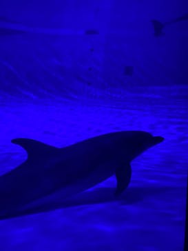 アクアワールド茨城県大洗水族館に投稿された画像（2024/3/9）