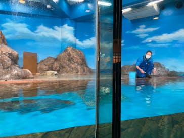 しながわ水族館に投稿された画像（2024/3/9）