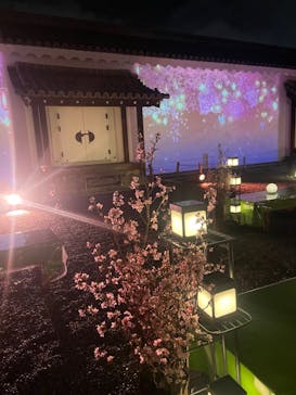 NAKED meets 二条城 2025 観月に投稿された画像（2024/3/9）