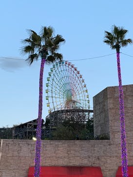 東京卍リベンジャーズ 描き下ろし新体験展 最後の世界線に投稿された画像（2024/3/9）