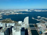 横浜ランドマークタワー 69階展望フロア スカイガーデンに投稿された画像（2024/3/10）