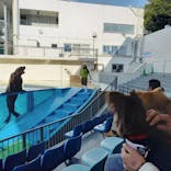 伊豆・三津シーパラダイスに投稿された画像（2024/3/10）