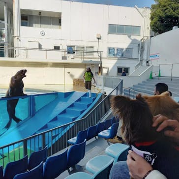 伊豆・三津シーパラダイスに投稿された画像（2024/3/9）