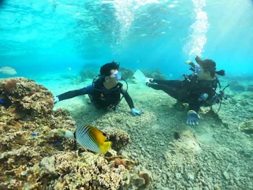 武藤潜水に投稿された画像（2024/3/10）