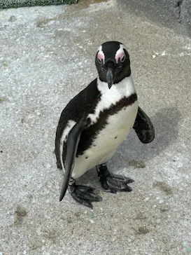 仙台うみの杜水族館に投稿された画像（2024/3/10）