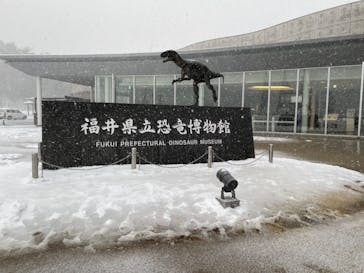 福井県立恐竜博物館に投稿された画像（2024/3/10）