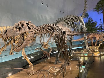 福井県立恐竜博物館に投稿された画像（2024/3/10）