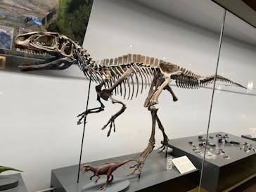 福井県立恐竜博物館に投稿された画像（2024/3/10）