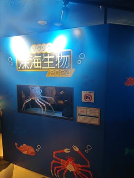サンシャイン水族館に投稿された画像（2024/3/10）