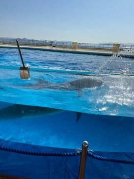 マリンワールド海の中道に投稿された画像（2024/3/10）