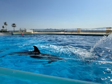 マリンワールド海の中道に投稿された画像（2024/3/10）