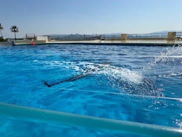 マリンワールド海の中道に投稿された画像（2024/3/10）