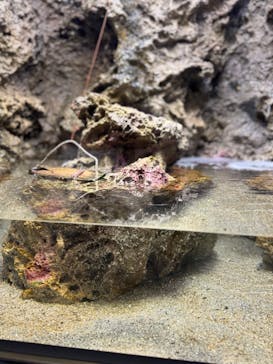 マリンワールド海の中道に投稿された画像（2024/3/10）