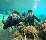 沖縄マリンサービス碧に投稿された画像（2024/3/10）