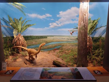 福井県立恐竜博物館に投稿された画像（2024/3/10）