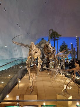 福井県立恐竜博物館に投稿された画像（2024/3/10）