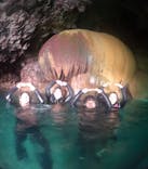 宮古島 ADVENTURE PiPi（ミヤコジマ アドベンチャー ピピ）に投稿された画像（2024/3/10）