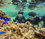 沖縄マリンサービス碧に投稿された画像（2024/3/10）