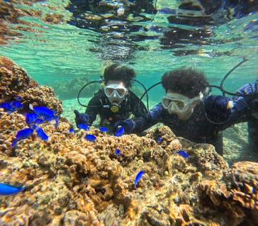 沖縄マリンサービス碧に投稿された画像（2024/3/10）