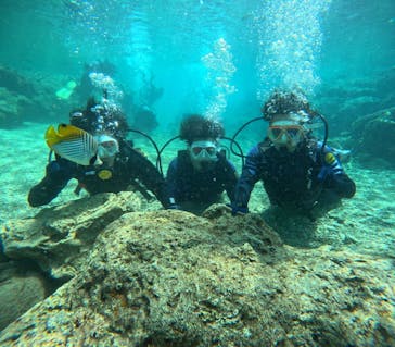 沖縄マリンサービス碧に投稿された画像（2024/3/10）