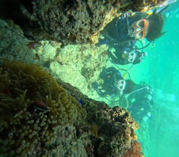 沖縄マリンサービス碧に投稿された画像（2024/3/10）