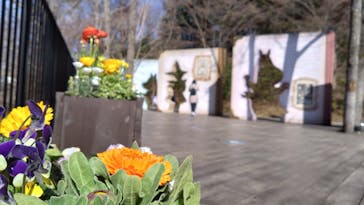 ムーミンバレーパークに投稿された画像（2024/3/10）