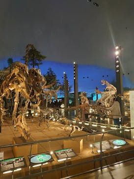 福井県立恐竜博物館に投稿された画像（2024/3/10）
