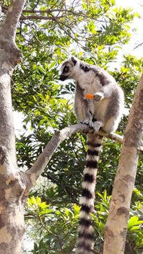 神戸どうぶつ王国に投稿された画像（2024/3/10）